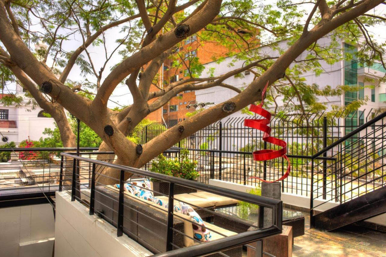 Casa de Leda, a Kali Hotel Santa Marta  Luaran gambar The tree at the center of the courtyard
