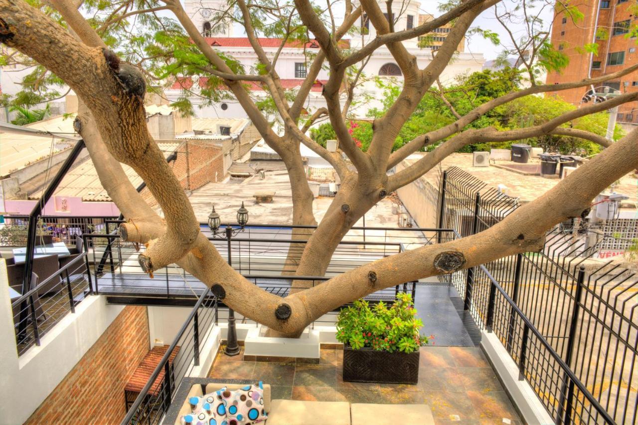 Casa de Leda, a Kali Hotel Santa Marta  Luaran gambar The tree in 2019