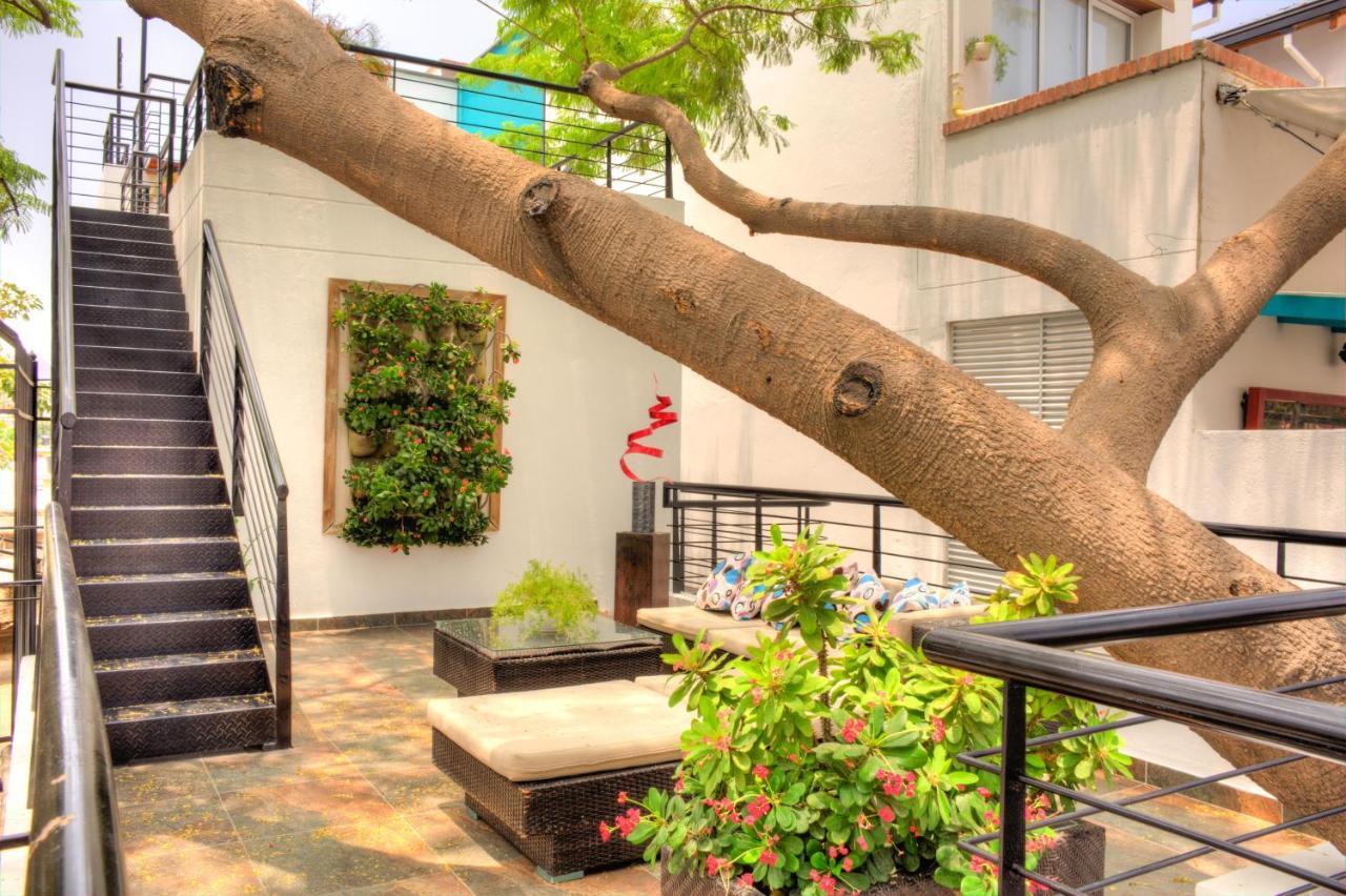 Casa de Leda, a Kali Hotel Santa Marta  Luaran gambar The courtyard of the school